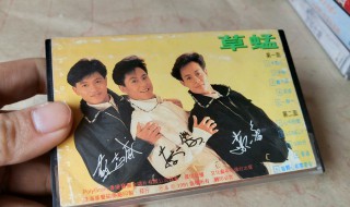 草蜢的失恋在讲一种什么心情 草蜢的失恋表达了什么