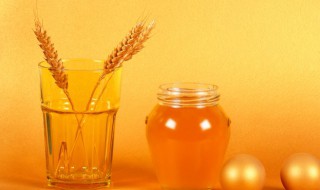 立春节气养生可以吃什么 立春时节吃什么养生