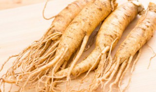 老年人适合什么人参 老人吃哪种人参