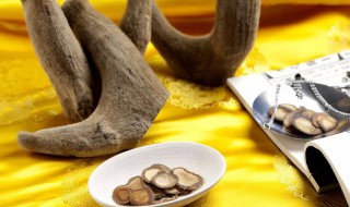 鹿茸的功效与作用是什么(鹿茸的功效与作用的功效和作用是什么)