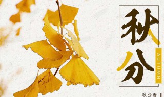 秋分时节适合吃什么养生汤 秋分节气煲什么汤合适