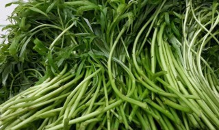 蒌蒿是什么意思 蒌蒿是什么意思解释