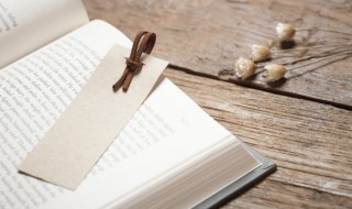 全色是什么意思（色子全色是什么意思）