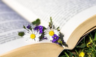 炙烤是什么意思（炙烤是什么意思啊）