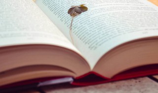 节帅是什么意思（古代的节帅是什么）