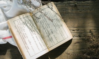 人非圣贤孰能无过谁说的（人非圣贤孰能无过谁说的是孔子说的吗）