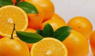 体内湿气重吃什么水果好 体内湿气重应该吃什么水果