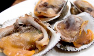 蚶不开口能不能吃（毛蚶不开口能吃吗）