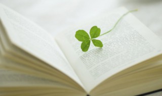 油头粉面是什么意思 油头粉面的意思,是褒义还是贬义