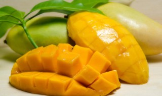 芒果切块后怎么保存（芒果切块后怎么保存好）
