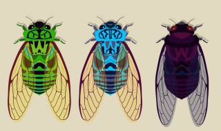 知了猴怎么保存不变黑 知了猴保存不变黑的方法