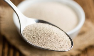 酵素作用与功效是什么（大蒜酵素作用与功效是什么）