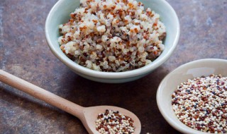 藜麦是什么东西（三色藜麦是什么东西）