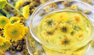枸杞泡菊花有什么功效和作用 枸杞泡菊花有什么功效和作用禁忌