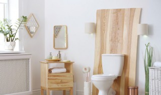 为什么一刮风卫生间严重反味 一刮风卫生间就有味