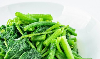 绿色健康蔬菜 绿色健康蔬菜的广告地区