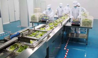 中央厨房的作用 中央厨房的作用及优劣势