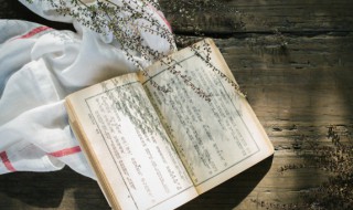 每下愈况成语意思 每下愈况成语故事