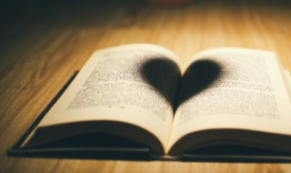 成语舍本逐末意思 成语舍本逐末的意思