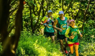 什么是定向运动 什么是定向运动竞赛