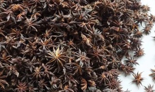 莽草是什么 莽草解释