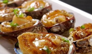 鲍鱼的营养价值和功效（鲍鱼的功效与营养价值）