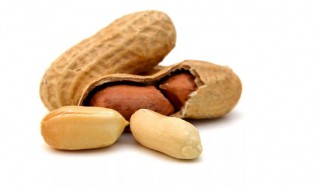 花生英语怎么读 花生英语怎么读音发音