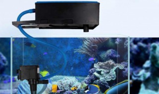 水族箱过滤器制作方法与作用 水族箱自制过滤器制作方法