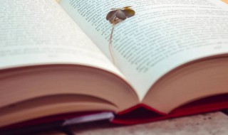 薄暮冥冥意思（薄暮冥冥意思的冥冥）