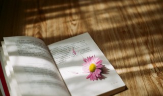 东道主成语意思（成语东道主的意思）