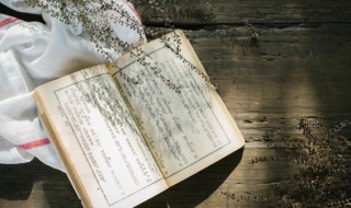 作法自毙意思（作法自毙主要内容）