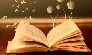 知己知彼意思（知己知彼意思的名言）