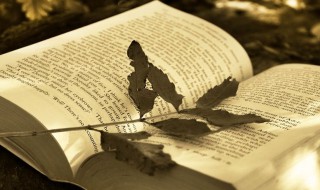 成语莫逆之交意思（莫逆之交是什么意思成语故事）