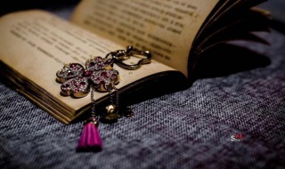 嗉怎么读 嗉怎么读什么意思