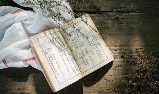 抒发思乡情感的诗句 表达思乡的情感的诗句