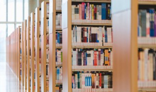 鳽怎么读 小苇鳽怎么读