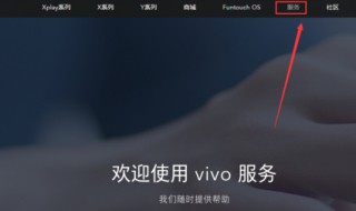 vivo不支持降级怎么办(vivo不支持降级怎么办)