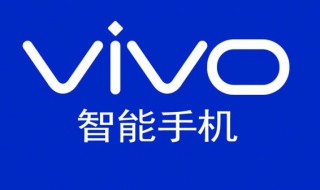 vivoz5i手机忘记密码怎么办 vivoz5i手机忘记锁屏密码怎么办