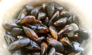 新鲜海虹怎么烧 新鲜海虹怎么煮