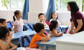 猫这一课的中心内容是什么? 猫这一课的重点