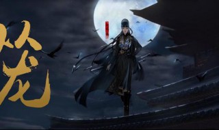 十二血衣卫是什么小说（哪部小说有黑衣卫）