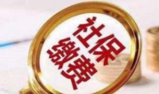 网上怎么办理交社保 在网上交社保怎么弄