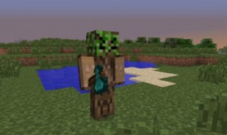 我的世界清除树叶指令（我的世界清除树叶指令是什么）