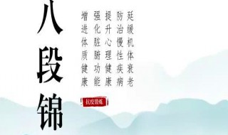 八段锦是一种以肢体运动为主的健身方法吗? 八段锦属于哪种健身