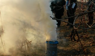 为什么用烟雾防霜冻（利用烟雾防霜冻是什么原理）