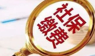 社保缴纳所属月份（社保缴纳所属月份怎么填）