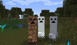 我的世界怎么冻住人（我的世界冻死）