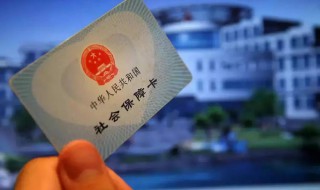 怎么看个人社保缴费记录（离职了自己缴纳社保怎么交）