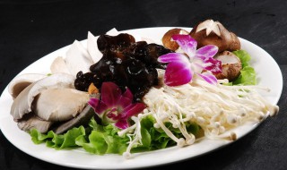 菌类食物有哪些(菌类大全)