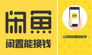 闲鱼客服介入举证技巧 闲鱼客服介入举证技巧是什么